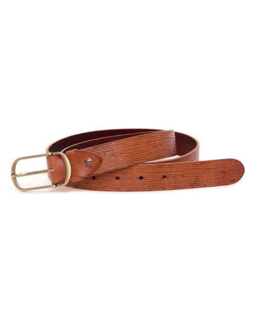 Gavazzeni Brown Belts for men