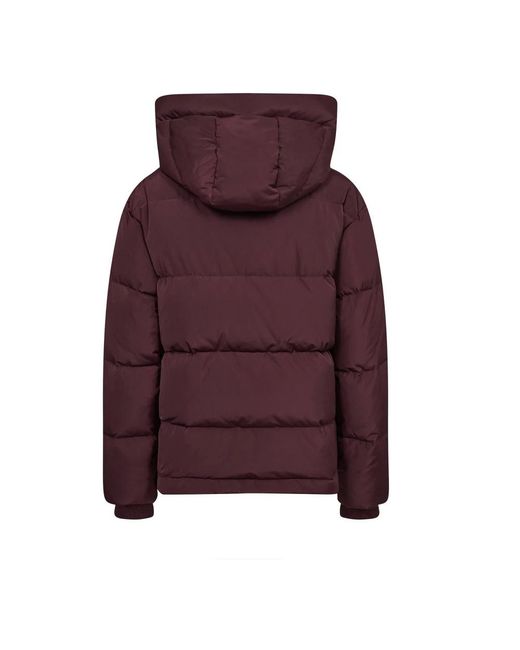Winter Jackets Mos Mosh de color Purple