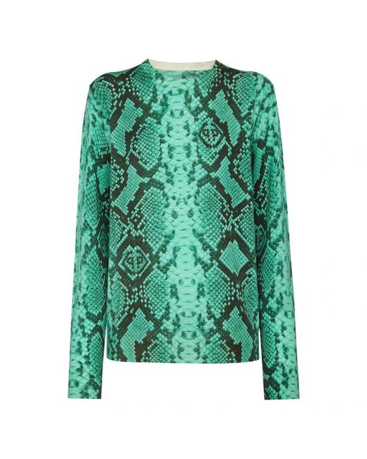 Philipp Plein Pullover Ronde Hals in het Green