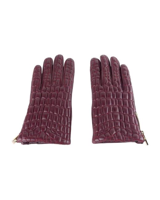 Class Roberto Cavalli Purple Gloves
