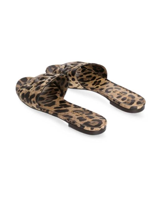 Dolce & Gabbana Brown Sliders
