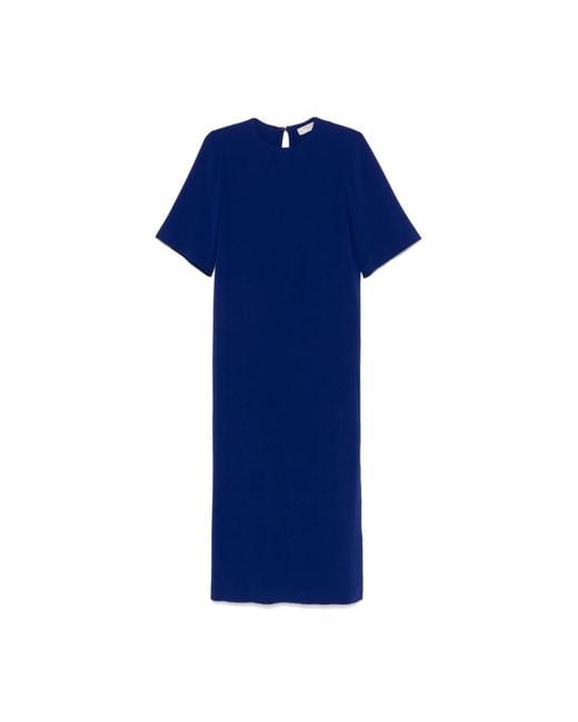 Maxi Dresses Alberto Biani de color Blue