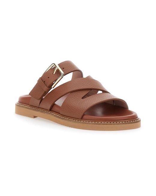 Sliders Pollini en coloris Brown