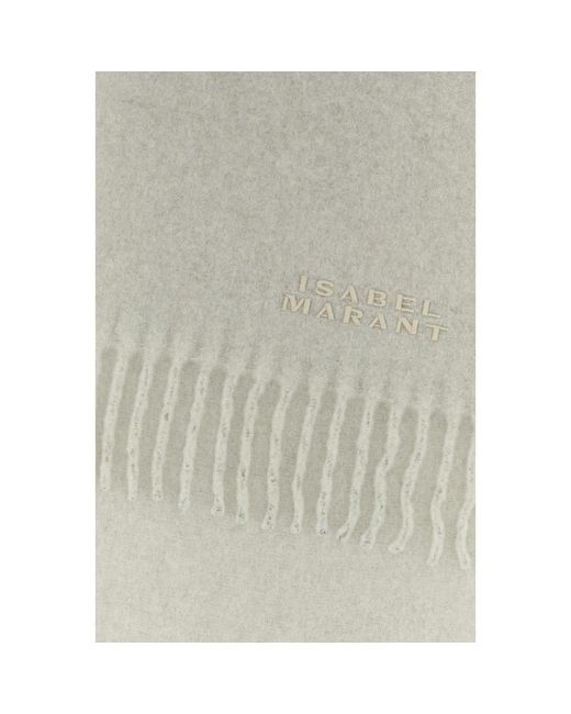 Isabel Marant Gray Winter Scarves
