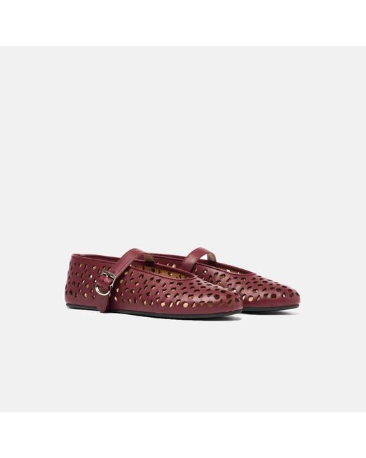 Scarosso Red Evelyn Burgundy