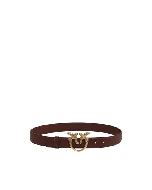 Pinko Brown Belts