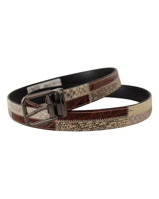 Dolce & Gabbana Brown Belts