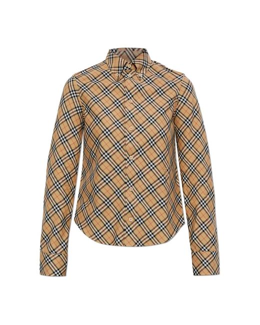 Burberry Natural Shirts