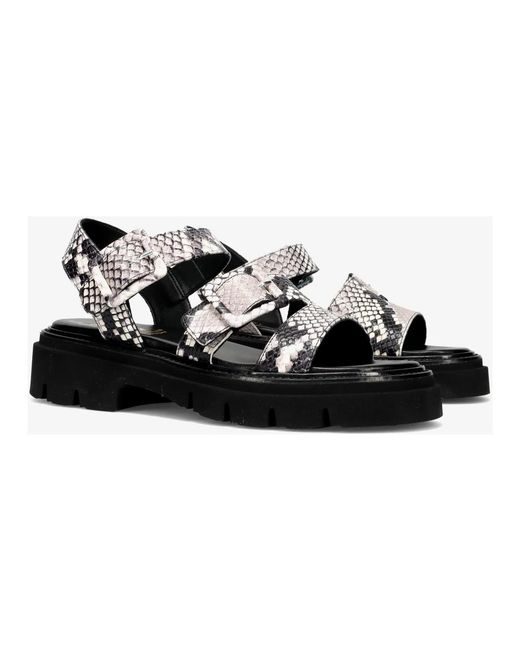 Luca Grossi Black Flat Sandals