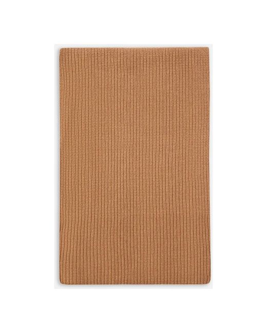 Pinko Brown Winter Scarves