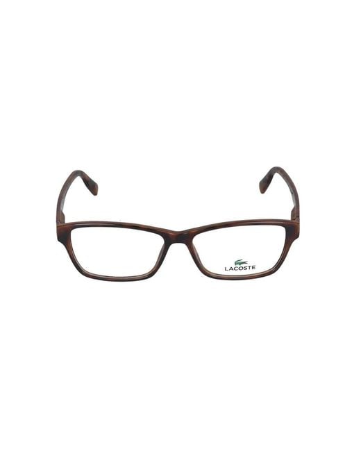 Lacoste Brown Glasses