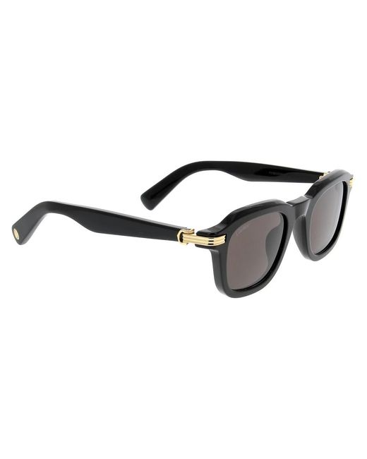 Cartier Gray Sunglasses