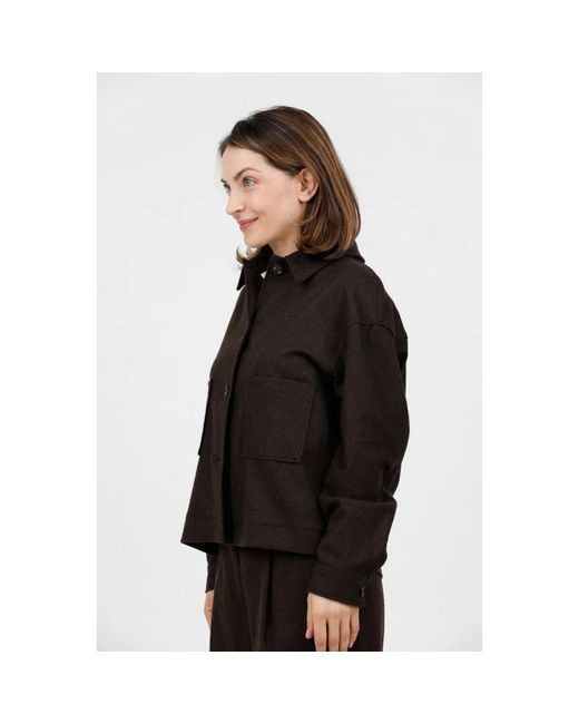 Circolo 1901 Jassen ,Bruin ,Wol Giacca Taglio Camicia in het Black