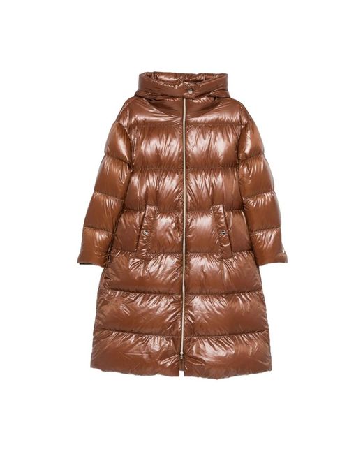 Herno Down Coats in het Brown