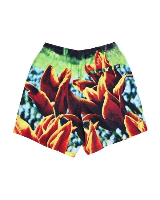 Obey Blue Casual Shorts for men