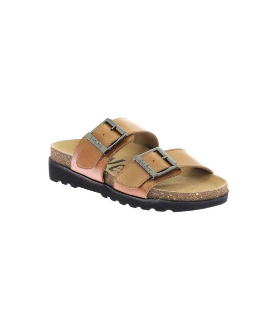 Sliders di Kickers in Brown
