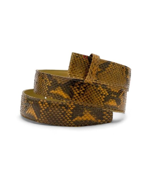 Claris Virot Green Python ranch gürtel - python noir
