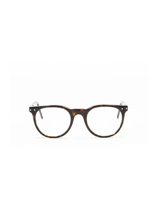 Moli Limo Metallic Glasses