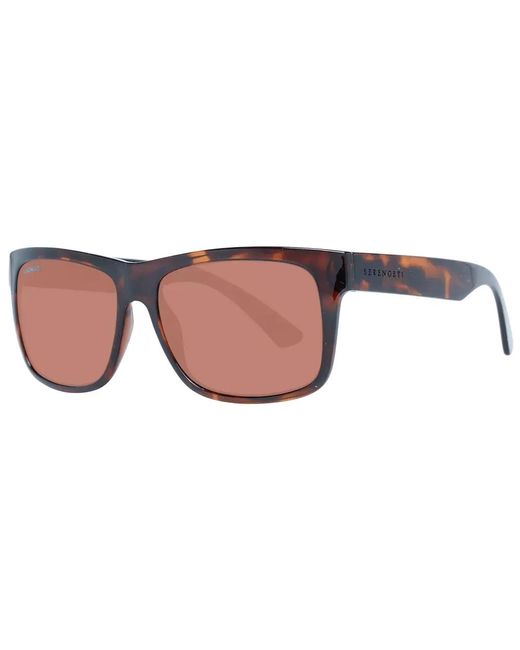 Serengeti Brown Sunglasses for men