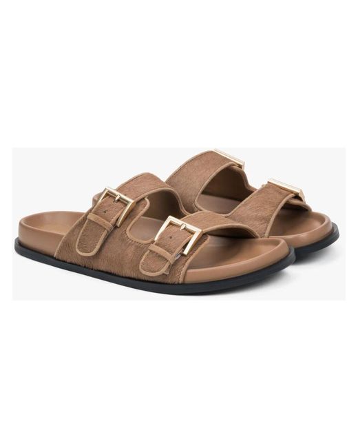 Sliders di ESTRO in Brown