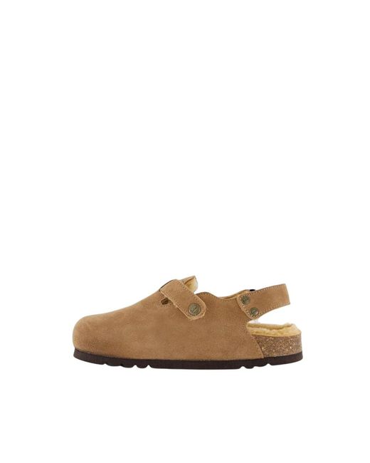 Scholl Brown Fae Backstrap