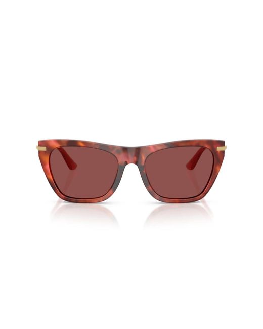 Dolce & Gabbana Purple Sunglasses