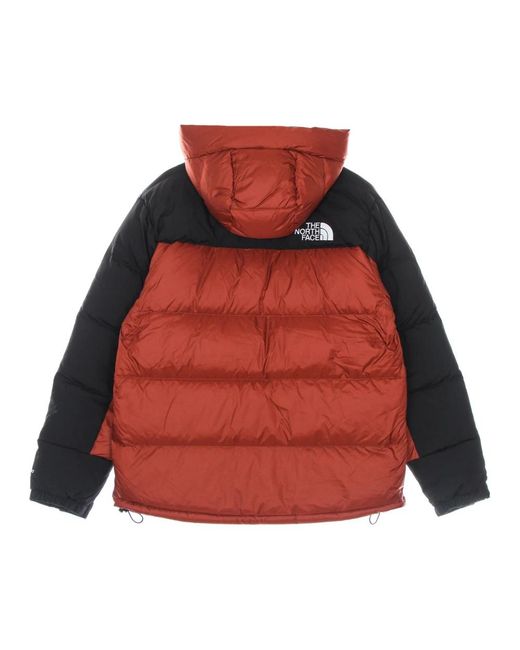 The North Face Gewatteerde Jassen in het Red voor heren