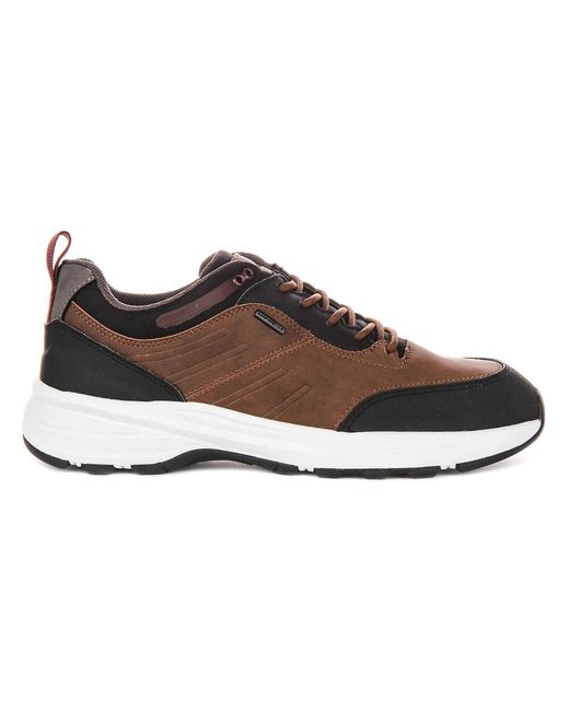 Geox Brown Sneakers for men