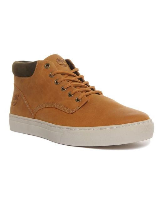 Timberland Brown Lace-Up Boots for men