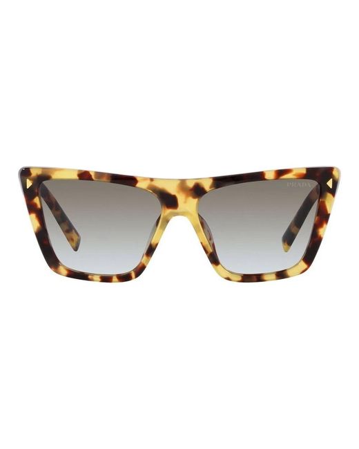 Prada Brown Sunglasses