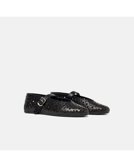 Scarosso Black Evelyn