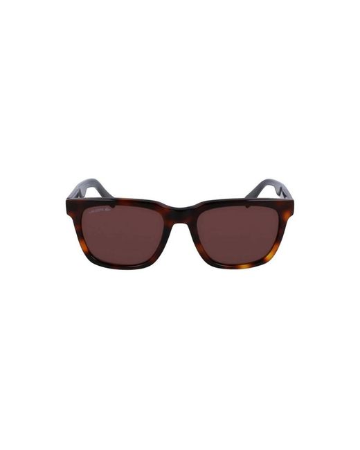 Lacoste Brown Sunglasses