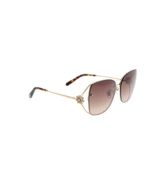 Sunglasses Chopard de color Brown
