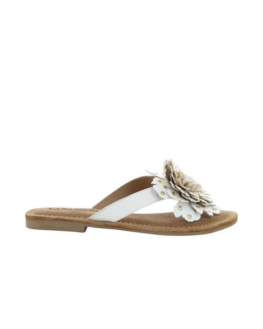 Flip Flops Lazamani en coloris Brown