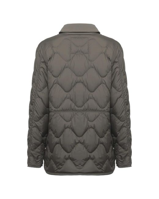 Woolrich Coats in het Gray