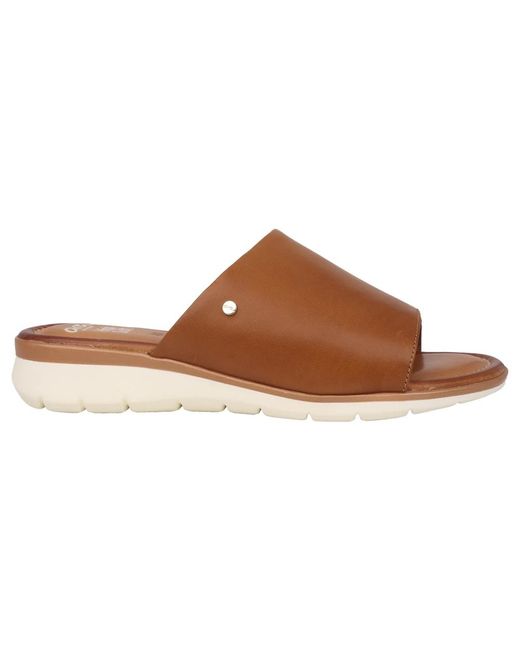 Sliders Ara de color Brown