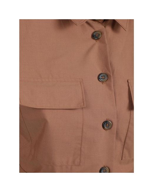 Sara Roka Brown Shirt Dresses
