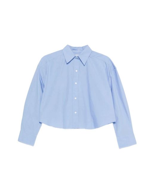 Calvin Klein Blue Shirts