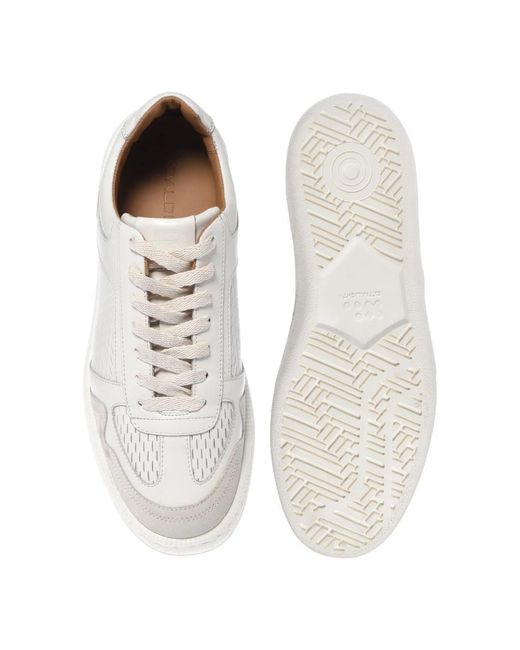Baldinini Gray Sneakers for men