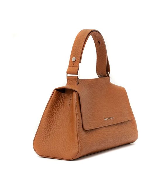 Orciani Brown Braune Weiche Lederhandtasche Mit Taschen