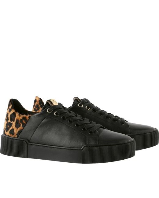 Högl Black Sneakers