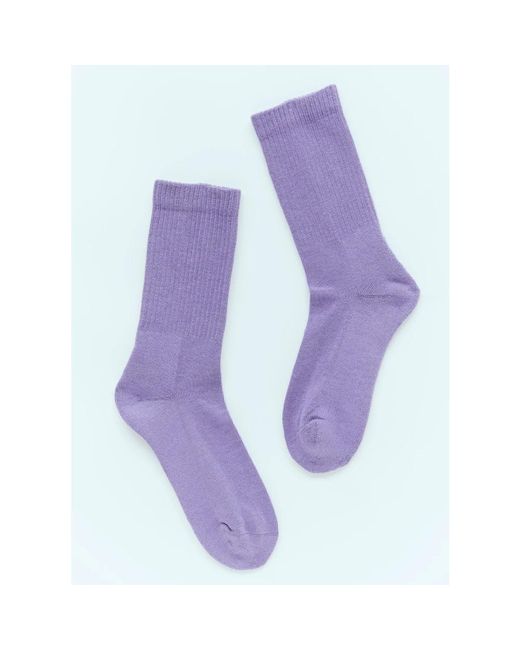 Underwear > socks Carne Bollente en coloris Purple