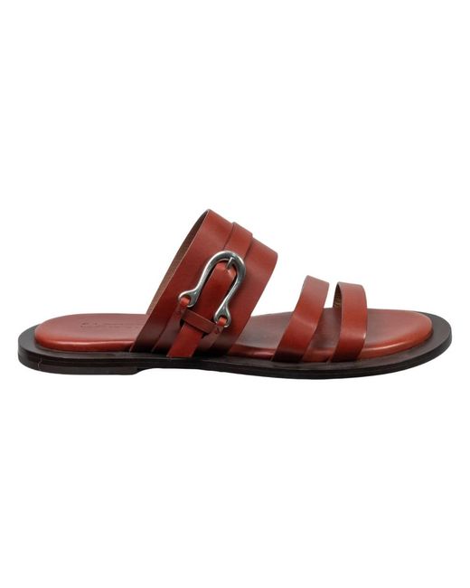 Sartore Brown Flat Sandals