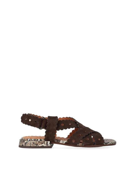 Chie Mihara Brown Tybi Sandal