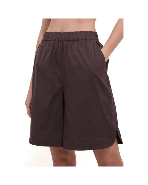 Shorts > casual shorts Max Mara en coloris Brown