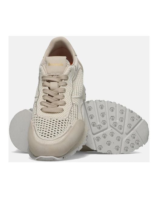 Barracuda Gray Sneakers