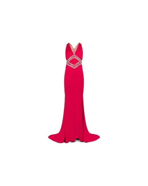 Roberto Cavalli Pink Gowns