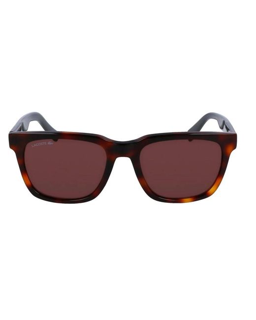 Lacoste Brown Sunglasses