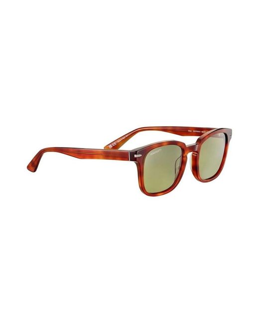 Serengeti Brown Sunglasses