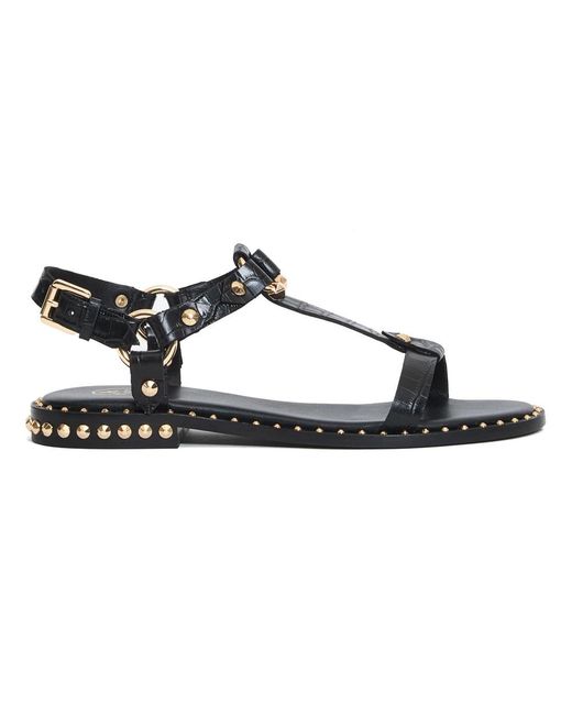 Ash Schoenen ,Zwart ,Leer Zwarte Krokodillenprint Platte Sandalen in het Black